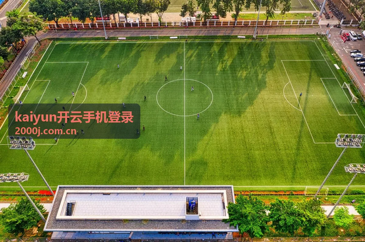kaiyun开云手机登录 运营活动页面