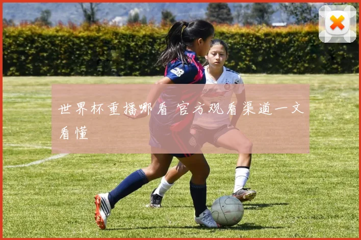 世界杯重播哪看 官方观看渠道一文看懂