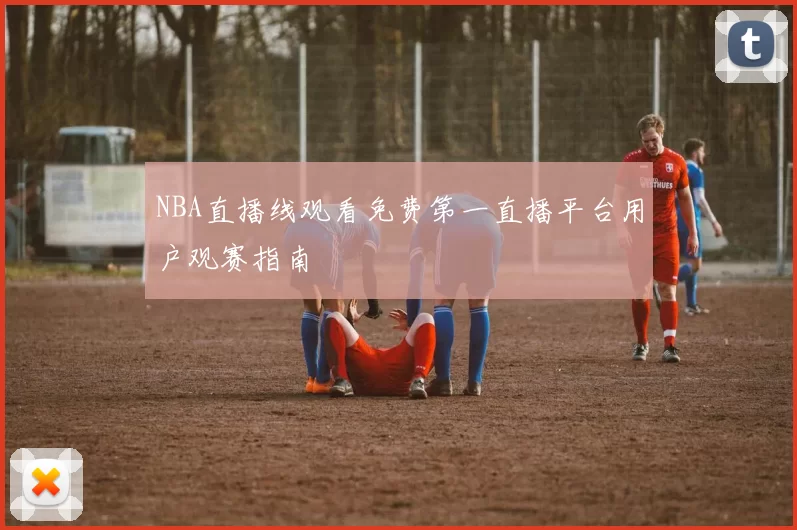 NBA直播线观看免费第一直播平台用户观赛指南