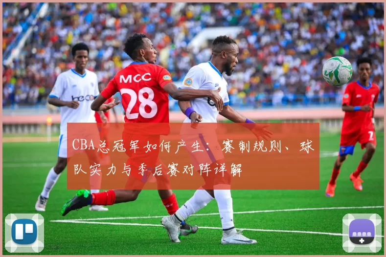 CBA总冠军如何产生：赛制规则、球队实力与季后赛对阵详解