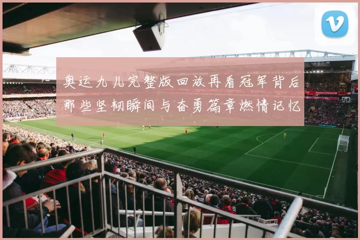 奥运九儿完整版回放再看冠军背后那些坚韧瞬间与奋勇篇章燃情记忆